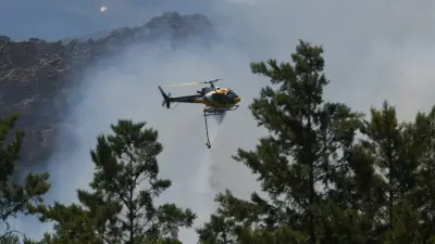 Incendies en Occitanie : autoroute A9 fermée, évacuations et milliers d'hectares brûlés