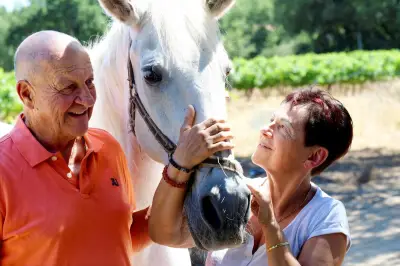 Le combat sans répit d'un couple pour sauver leur cheval Palacino à Grimaud