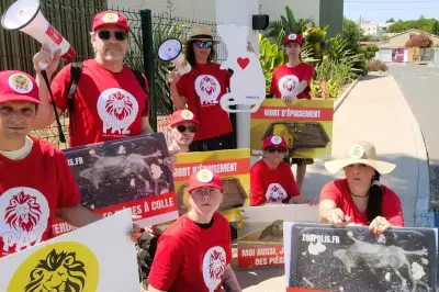 Manifestation tendue à Antibes contre les pièges à colle