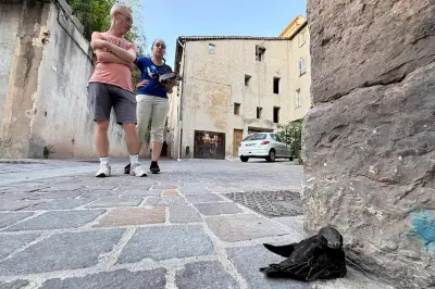 Maraudes nocturnes à Draguignan pour sauver les oiseaux tombés des nids