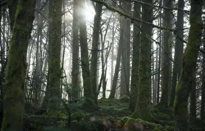 Meurtre d'un septuagénaire dans les Vosges : une information judiciaire ouverte