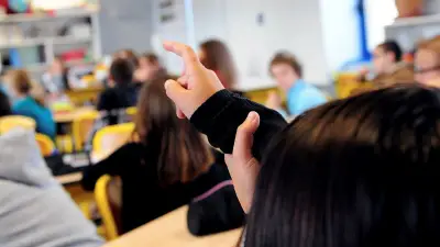 Millau : les écoles s'adaptent aux fortes chaleurs avec des travaux de végétalisation