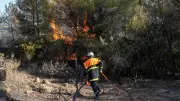 Aude : 150 pompiers noient les lisières, 900 hectares brûlés en 48h