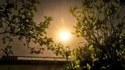 Canicule : 61 départements en orange, jusqu'à 41°C attendus