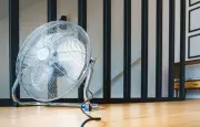 Canicule : 8 astuces pour rafraîchir son logement sans clim