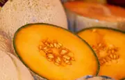 Canicule : les prix des melons flambent, la demande dépasse l'offre