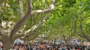 Collège Henri-IV à Béziers : remise des prix d'excellence et d'honneur