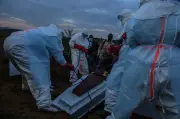 Faut-il craindre une épidémie d'Ebola en France ?