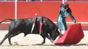 Feria de Boujan : triomphes taurins mais affluence en baisse