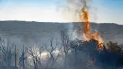 Hérault : quatre massifs en alerte rouge incendie ce lundi 6 juillet
