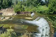 Hyères : des travaux au barrage Sainte-Eulalie pour sauver l'anguille européenne
