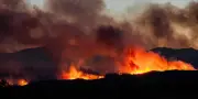 Incendies : 10 000 évacués dans les Pyrénées-Orientales, feu fixé dans le Gard