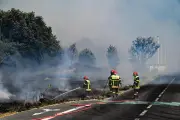 Incendies dans le Sud : 281 bungalows détruits, 950 hectares brûlés