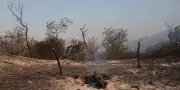 Incendies dans les Pyrénées-Orientales : 4 600 ha brûlés, 7 départements en risque très élevé