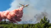 Incendies dans l'Hérault : 1 000 pompiers mobilisés, soupçons d'allumages volontaires