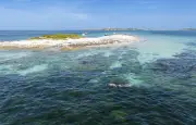 Jet-skis interdits toute l'année dans l'archipel des Glénan