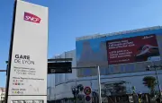 Mort d'un chat Gare de Lyon : la SNCF interpellée sur sa gestion des animaux