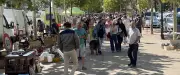 Panique à Clermont-l'Hérault : homme avec arme interpellé à la brocante