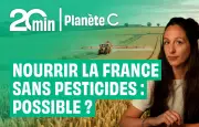 Peut-on nourrir la France sans pesticides ? Des scientifiques répondent