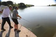 Pilon de poulet : la méthode originale pour traquer le crabe bleu à Fréjus