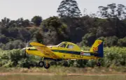 Portugal : incendie toujours actif, 1 100 pompiers mobilisés, 10 000 hectares brûlés