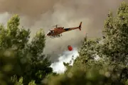 Réforme agricole d'urgence adoptée en France