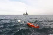 Sinay : la start-up normande qui transforme les données maritimes en outil de protection des océans