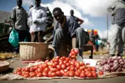Souveraineté alimentaire : l'Afrique doit agir vite