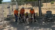SPA Montpellier : animaux suffoquent sous 40°C, bénévoles s'adaptent