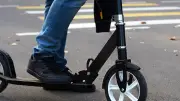 Un boulanger meurt en trottinette après avoir percuté un chevreuil