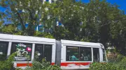 Un homme de 68 ans meurt dans un tramway à Lyon après un malaise lié à la chaleur